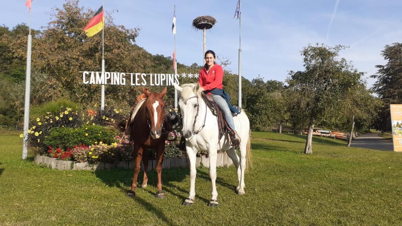 Готель Camping Les Lupins Seppois-le-Bas Екстер'єр фото