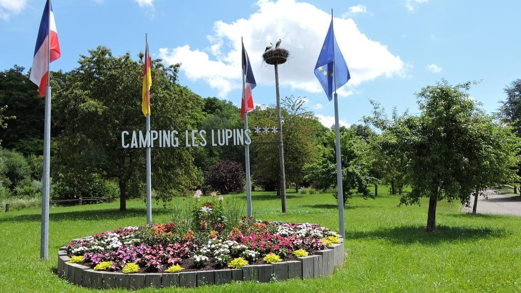 Готель Camping Les Lupins Seppois-le-Bas Екстер'єр фото